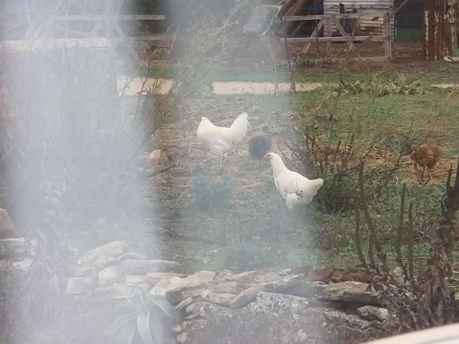 Cabana Rural El Molino - Jacuzzi La Cimada المظهر الخارجي الصورة