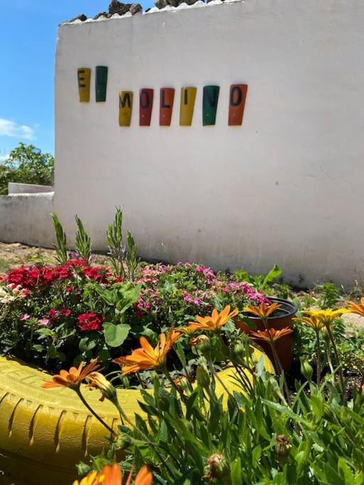 Cabana Rural El Molino - Jacuzzi La Cimada المظهر الخارجي الصورة