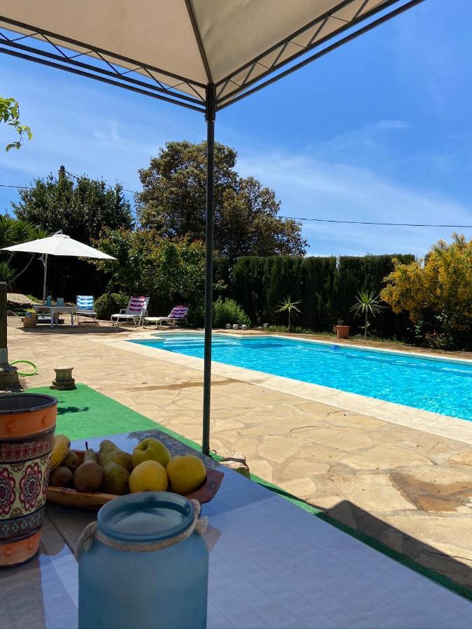 Cabana Rural El Molino - Jacuzzi La Cimada المظهر الخارجي الصورة
